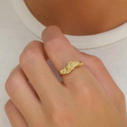 ring in verguld messing - Eliné