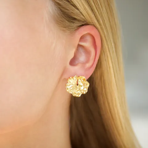 oorbellen in verguld messing - Eliné