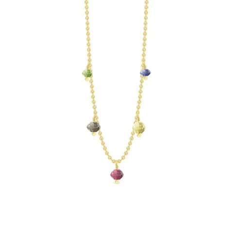 ID Fine IDN026GDMULTI ketting in verguld sterlingzilver groen peridoot rookkleurige kwarts rode rhodoliet citroen topaas blauwe ioliet