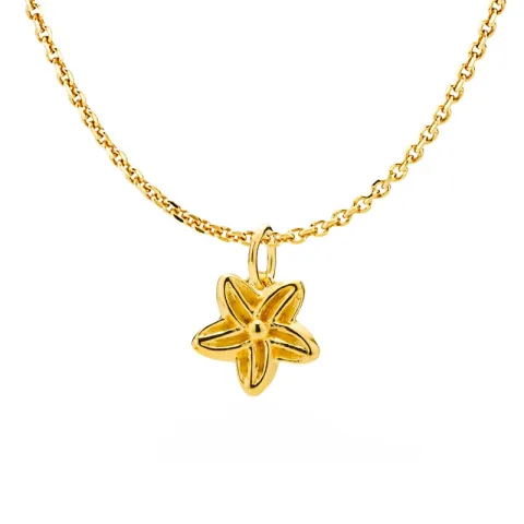 Izabel Camille Rosalina ketting met hanger in verguld sterlingzilver