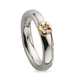 testsieraad diamant ring in zilver en goud