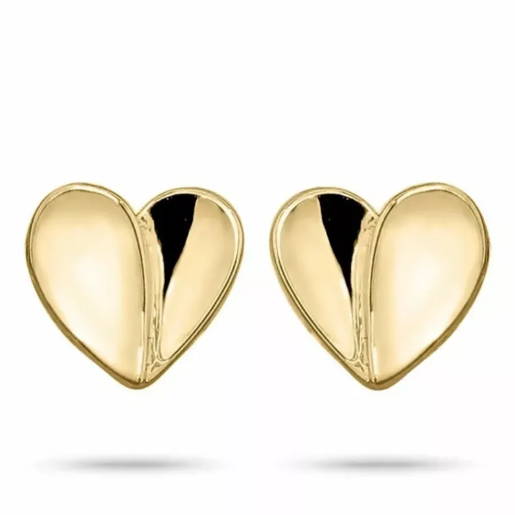 Eenvoudige hart oorbellen in 9 karaat goud