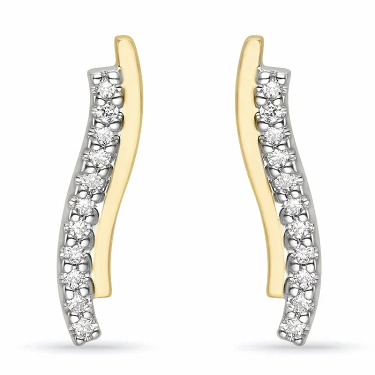 diamant oorbellen in 14 karaat goud en witgoud met diamant