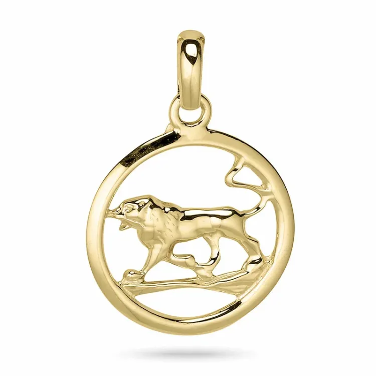 testsieraad sterrenbeeld leeuw hanger in 9 karaat goud