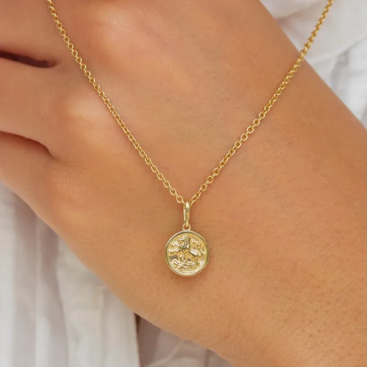 sterrenbeeld leeuw hanger in 9 karaat goud - Gold Collection