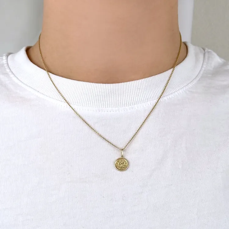 sterrenbeeld tweeling hanger in 9 karaat goud - Gold Collection