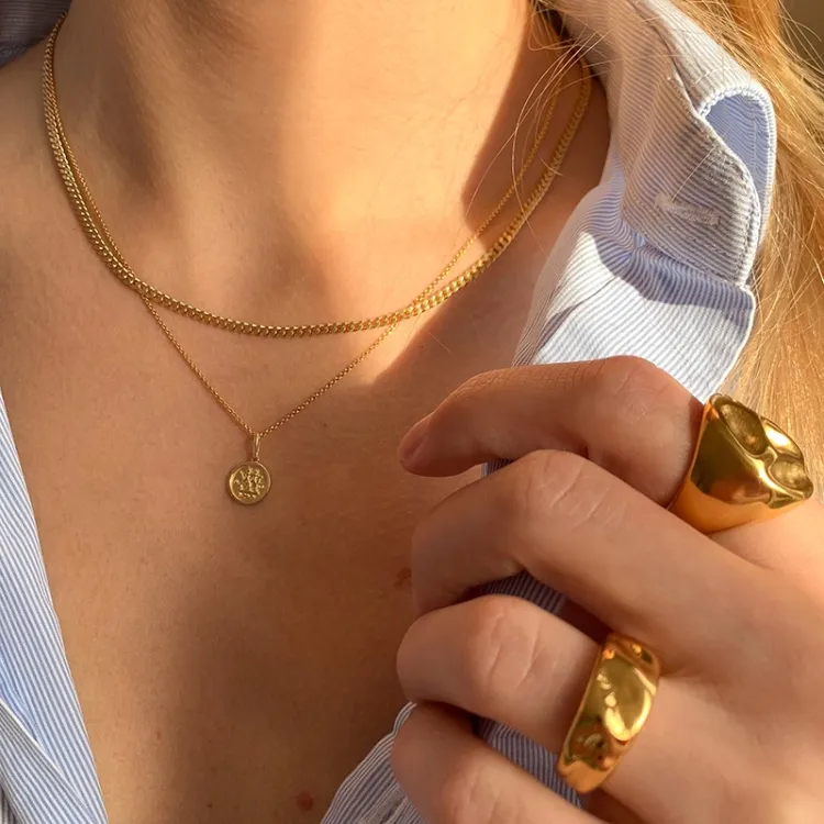 sterrenbeeld tweeling hanger in 9 karaat goud - Gold Collection