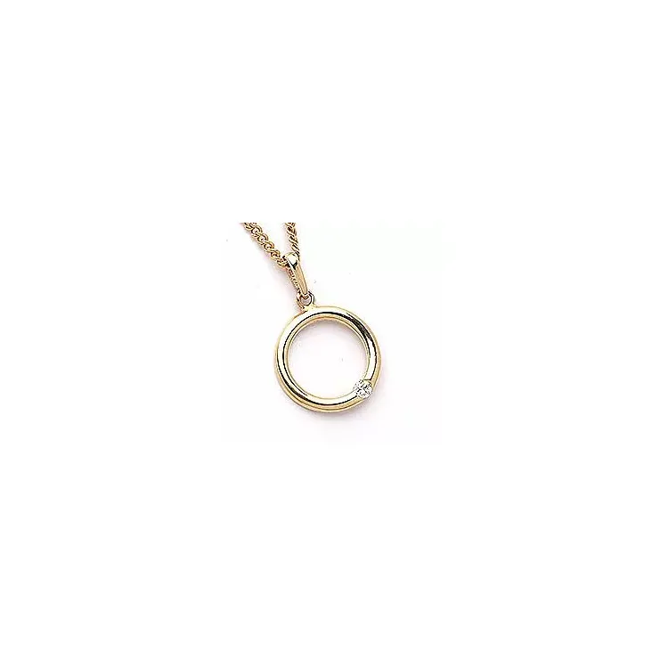 cirkel hanger in 14 karaat goud