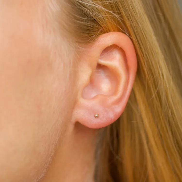 2 mm bolletje oorsteker in 14 karaat goud - Gold Collection