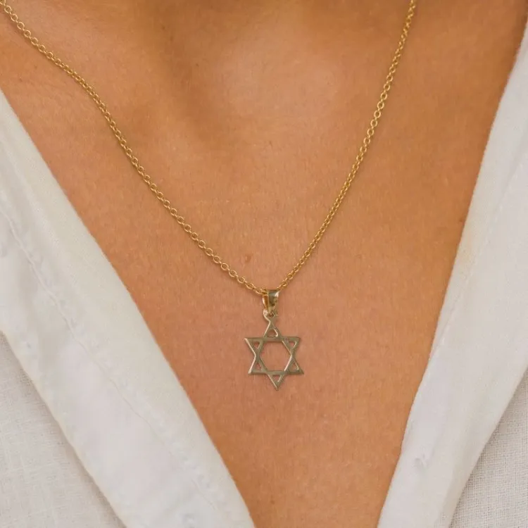 davidster ketting in verguld sterlingzilver met hanger in 8 karaat goud - Gold Collection