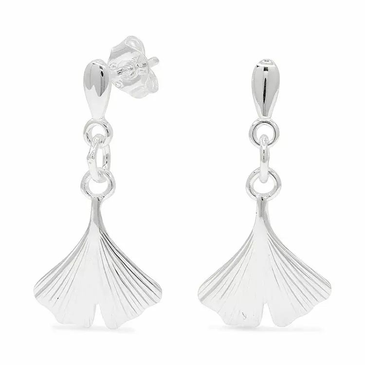 oorbellen in zilver