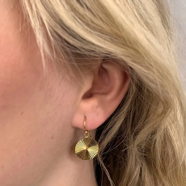 lange rond oorbellen in verguld zilver