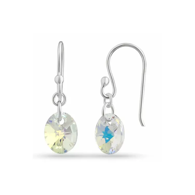 Lange ovaal kristal oorbellen in zilver