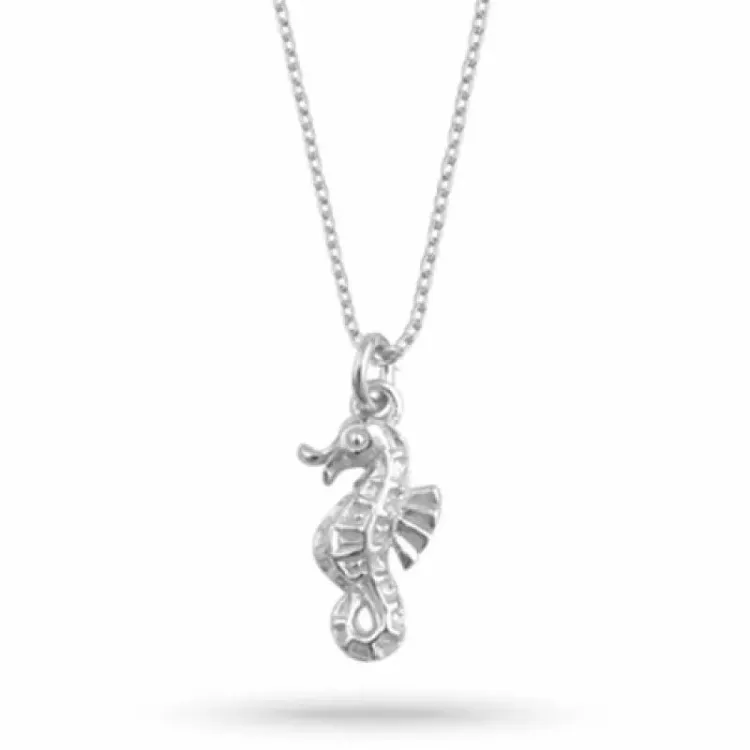 ketting in zilver met hanger in zilver