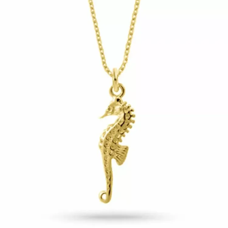 ketting in verguld sterlingzilver met hanger in verguld sterlingzilver