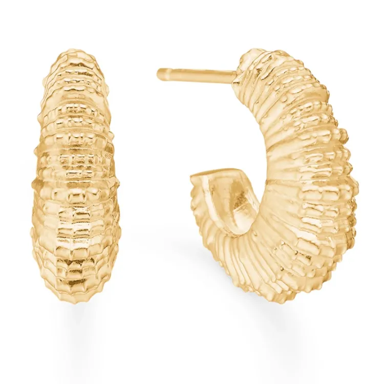 Studio Z Seashell Secrets oorsteker in verguld sterlingzilver