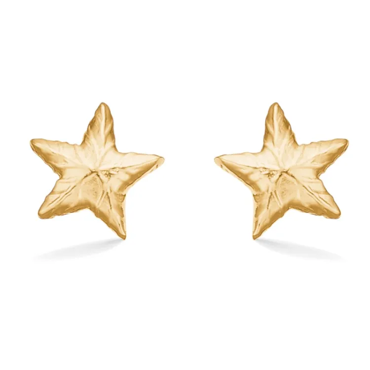 Studio Z Shiny Star oorbellen in verguld sterlingzilver