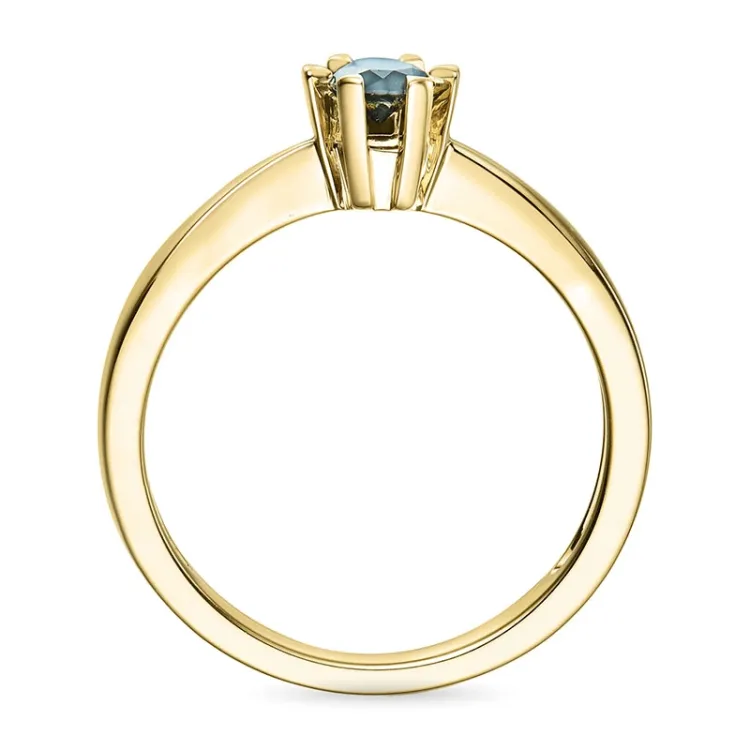 0,20 ct zwart diamant solitaire ring in 14 karaat goud 0,20 ct