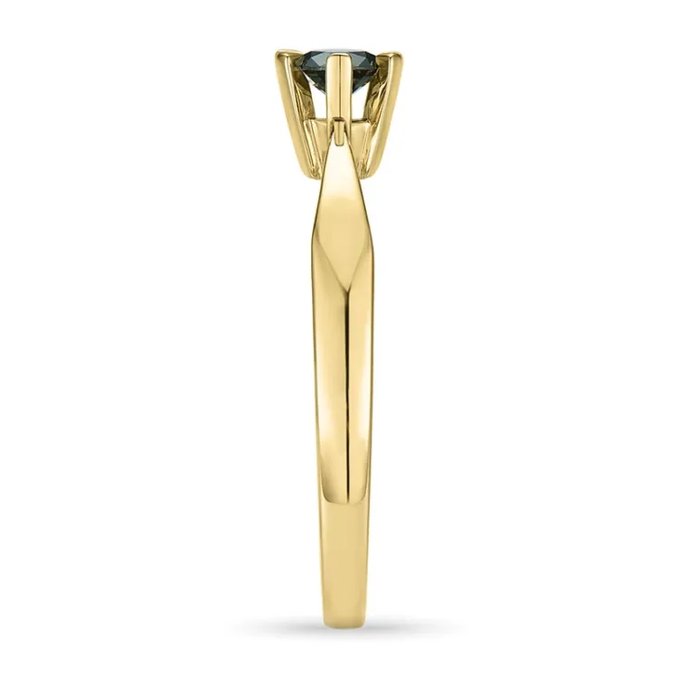 0,20 ct zwart diamant solitaire ring in 14 karaat goud 0,20 ct