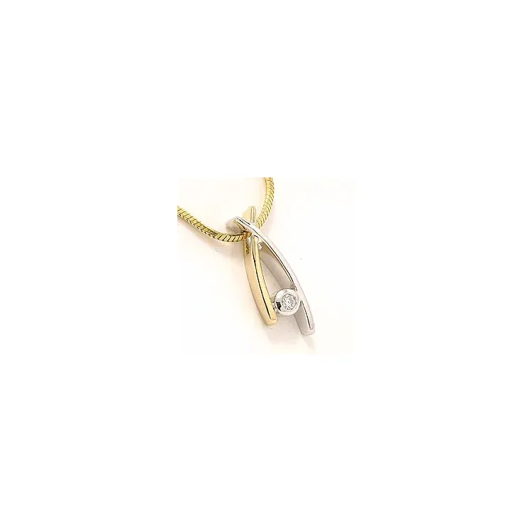 Hanger in 14 caraat goud-en witgoud 0,05 ct