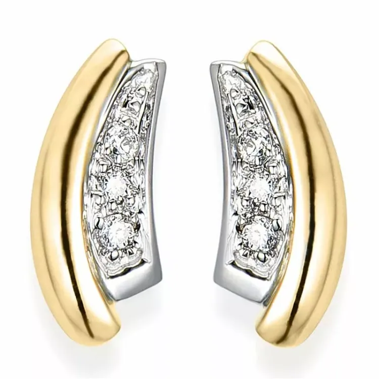 diamant oorbellen in 14 karaat goud en witgoud met diamant
