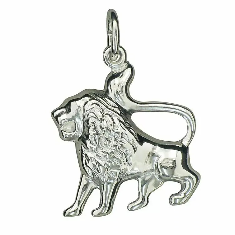 Sterrenbeeld leeuw hanger in zilver