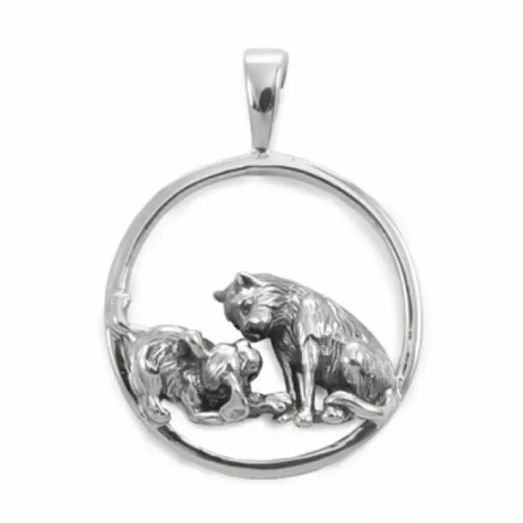 Groot kostbare hanger in zilver