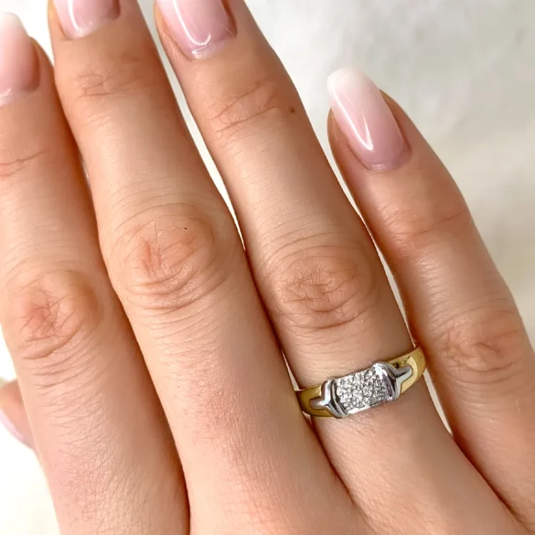 Diamant ring in 9 karaat goud-en witgoud 0,05 ct