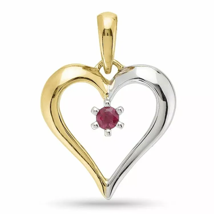 robijn hartjes hanger in 9 caraat goud-en witgoud 0,10 ct