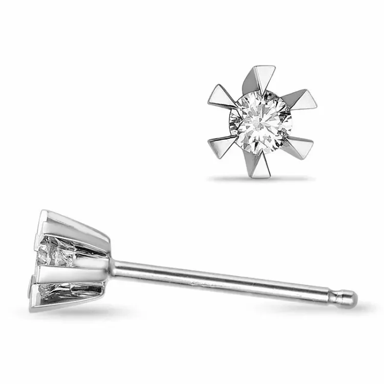 2 x 0,05 ct solitaire oorbel in 9 karaat witgoud met diamant 