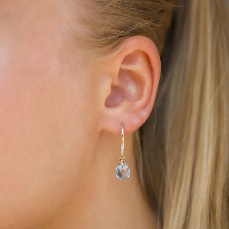 blauwe topaas diamant oorbellen in 9 karaat goud met topaas en diamant 