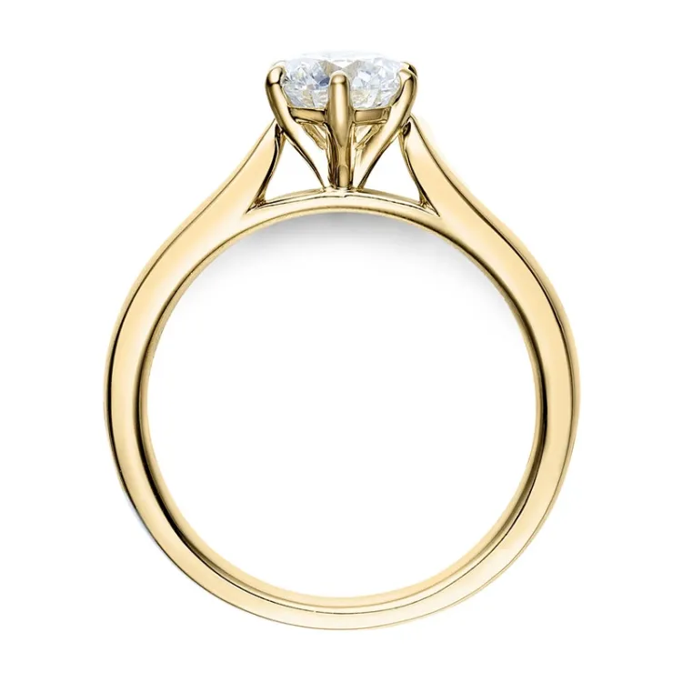 1,00 ct lab grown diamant solitaire ring in 9 karaat goud 1,0 ct