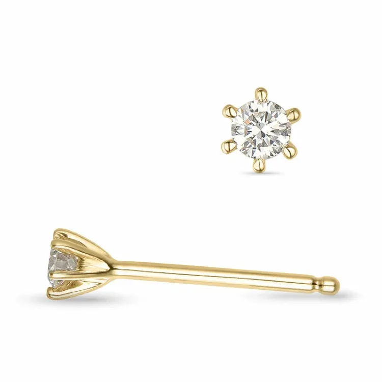2 x 0,05 ct lab grown diamant solitaire oorbel in 9 karaat goud met lab grown diamant 