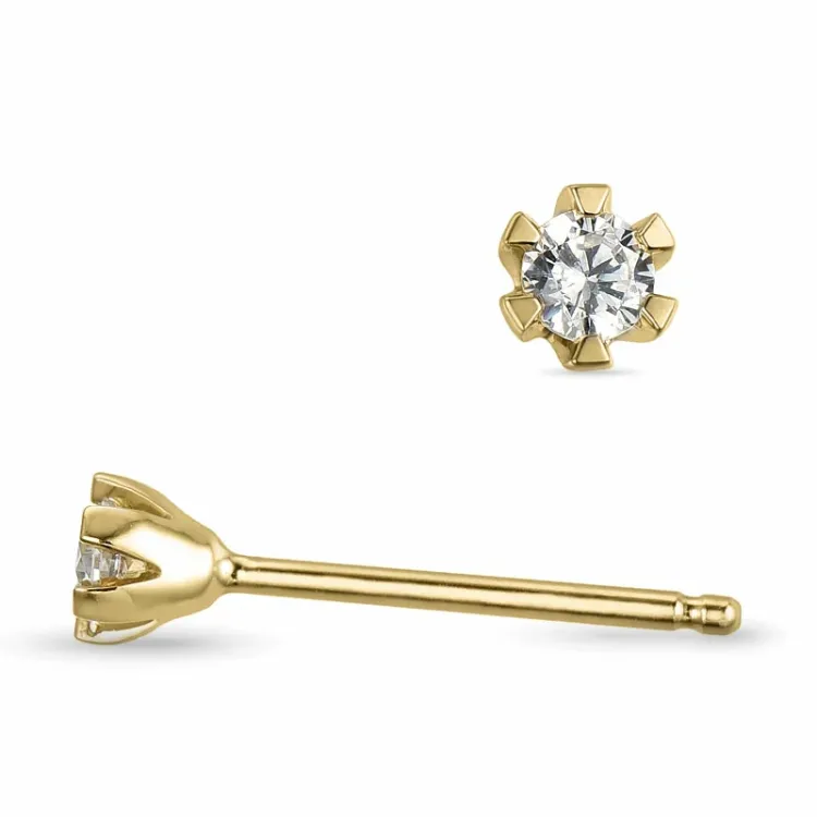 2 x 0,07 ct lab grown diamant solitaire oorbel in 9 karaat goud met lab grown diamant 