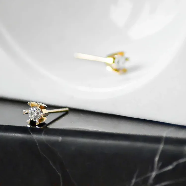 2 x 0,20 ct lab grown diamant solitaire oorbel in 14 karaat goud met lab grown diamant 