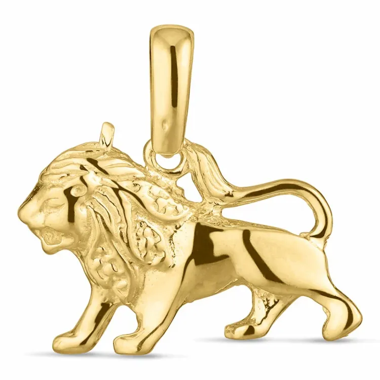 sterrenbeeld leeuw hanger in 8 karaat goud - Gold Collection