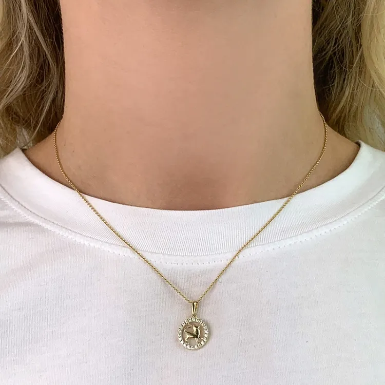 sterrenbeeld leeuw zirkoon hanger in 8 karaat goud - Gold Collection