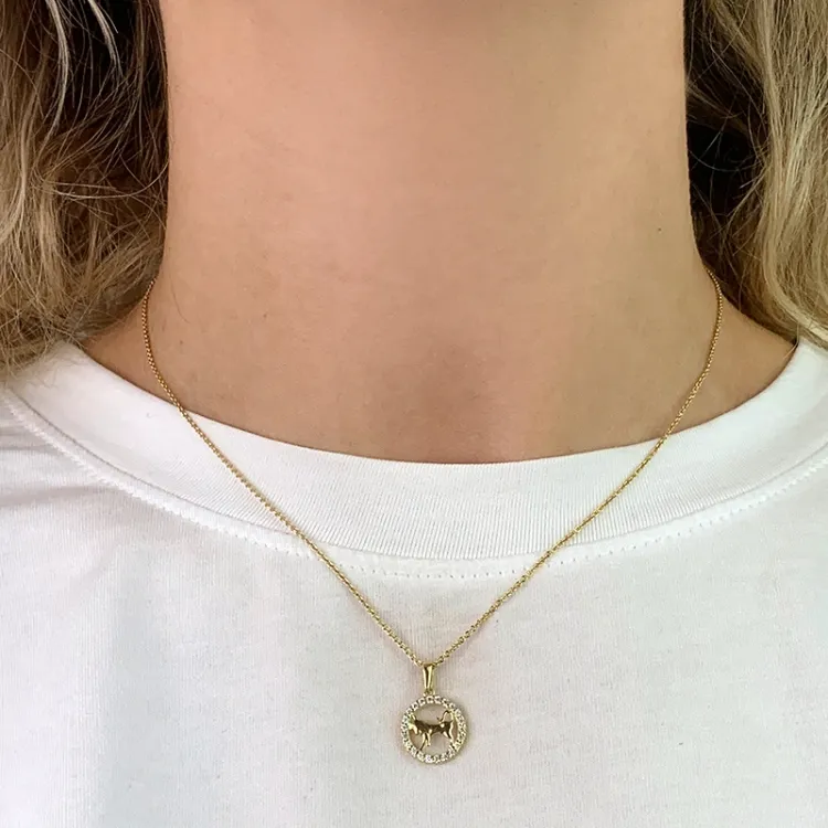 sterrenbeeld stier zirkoon hanger in 8 karaat goud - Gold Collection