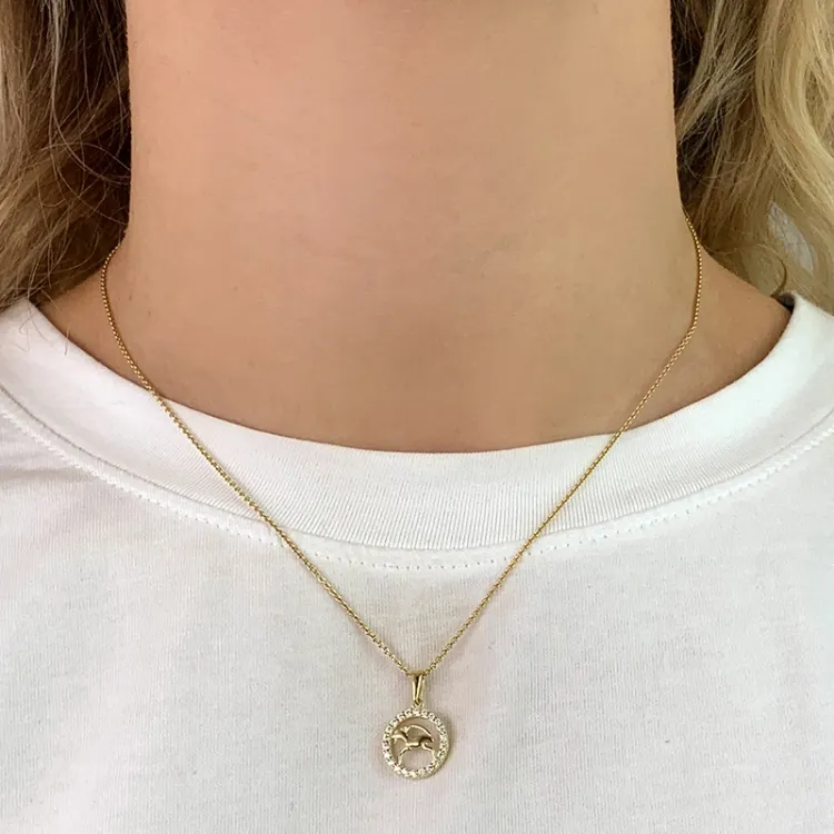 sterrenbeeld steenbok hanger in 8 karaat goud - Gold Collection