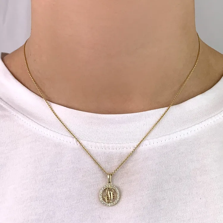sterrenbeeld kreeft zirkoon hanger in 8 karaat goud - Gold Collection