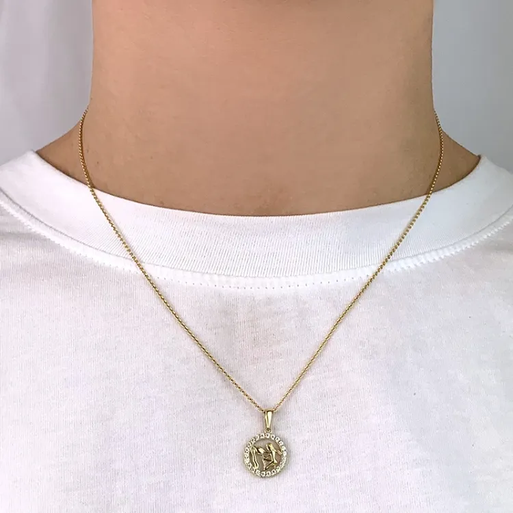 sterrenbeeld waterman zirkoon hanger in 8 karaat goud - Gold Collection