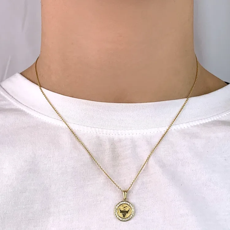 sterrenbeeld stier zirkoon hanger in 8 karaat goud - Gold Collection