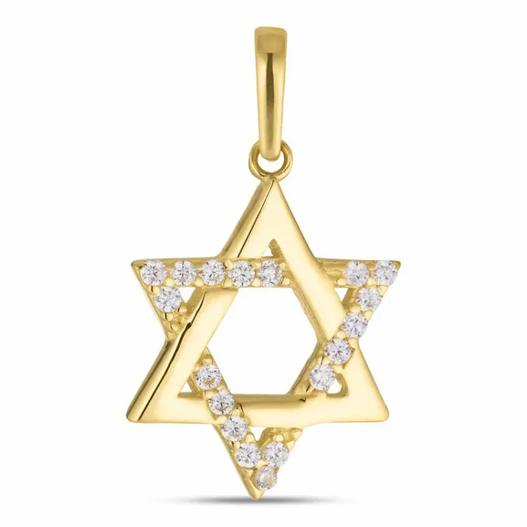 davidster zirkoon hanger in 8 karaat goud - Gold Collection