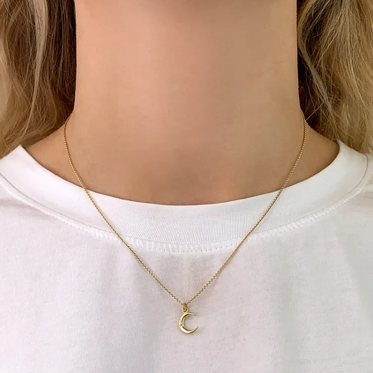 maan zirkoon hanger in 8 karaat goud - Gold Collection