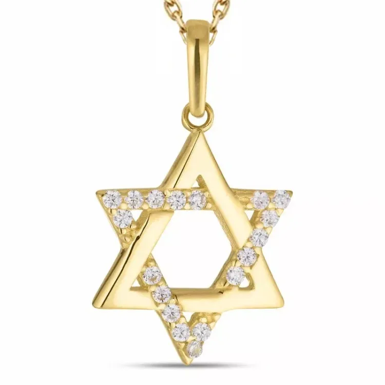 davidster zirkoon ketting in verguld sterlingzilver met hanger in 8 karaat goud - Gold Collection