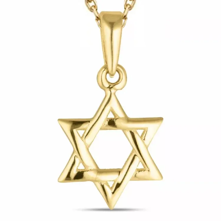 davidster ketting in verguld sterlingzilver met hanger in 8 karaat goud - Gold Collection