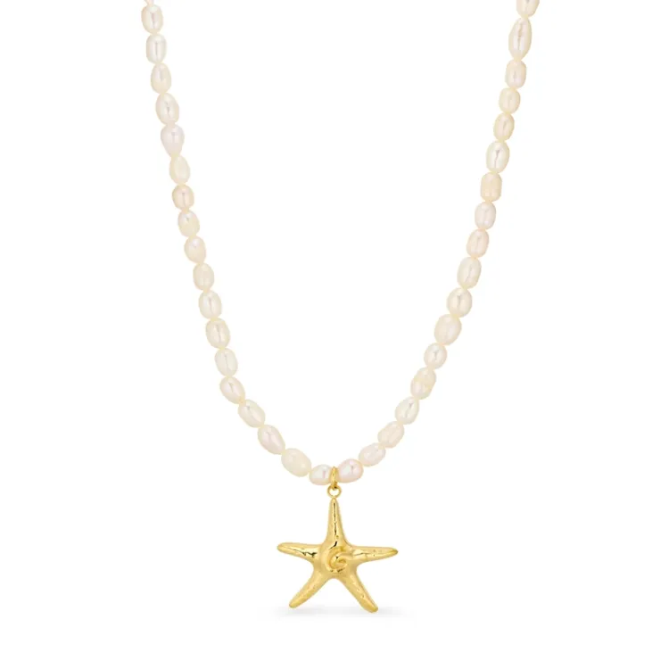 waterproof zeester ketting in verguld staal - OCEANA