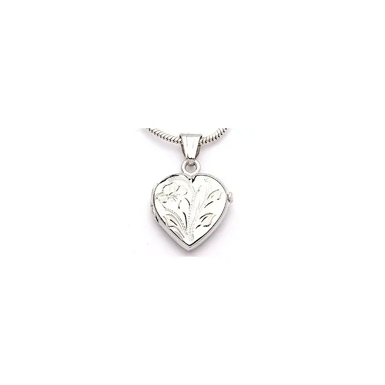 Sieraden medaillon in 9 karaat witgoud