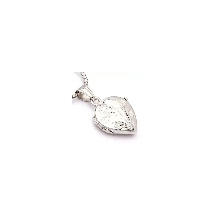 Sieraden medaillon in 9 karaat witgoud