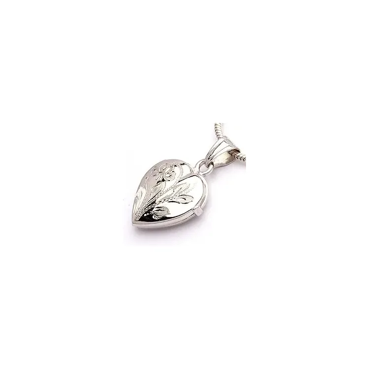 Sieraden medaillon in 9 karaat witgoud